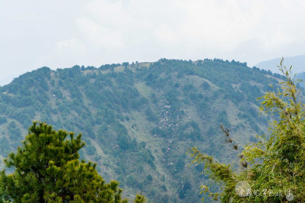 鹿林山遠眺玉山群峰