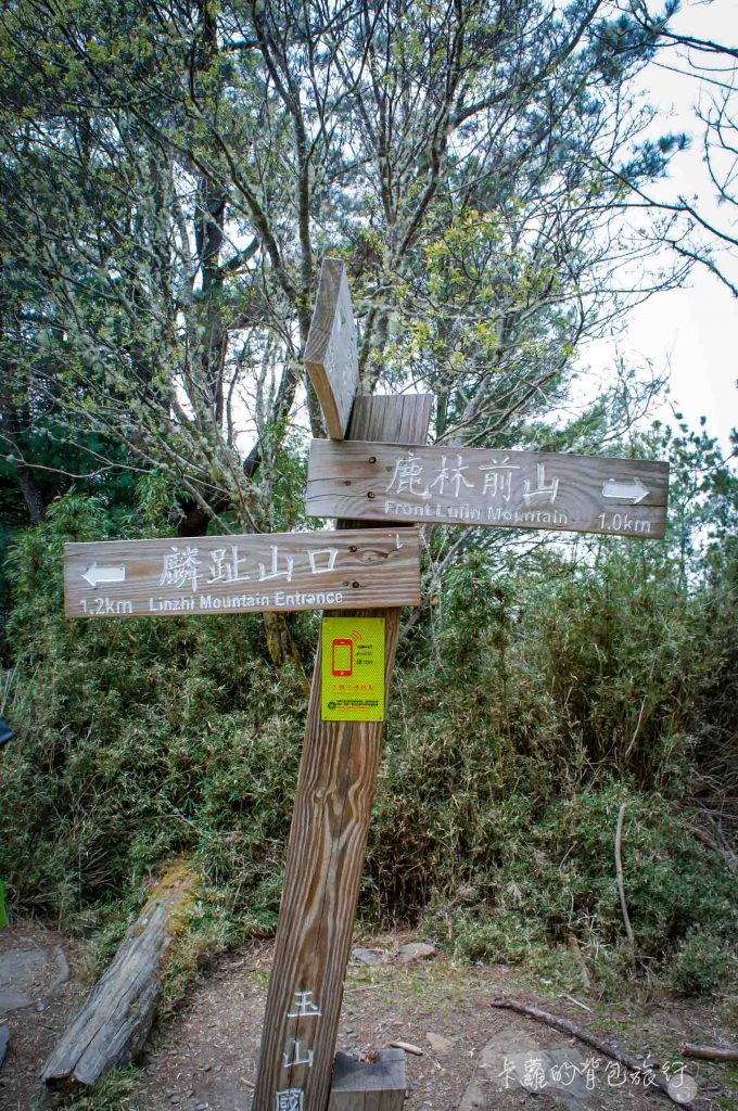 鹿林山自然公園