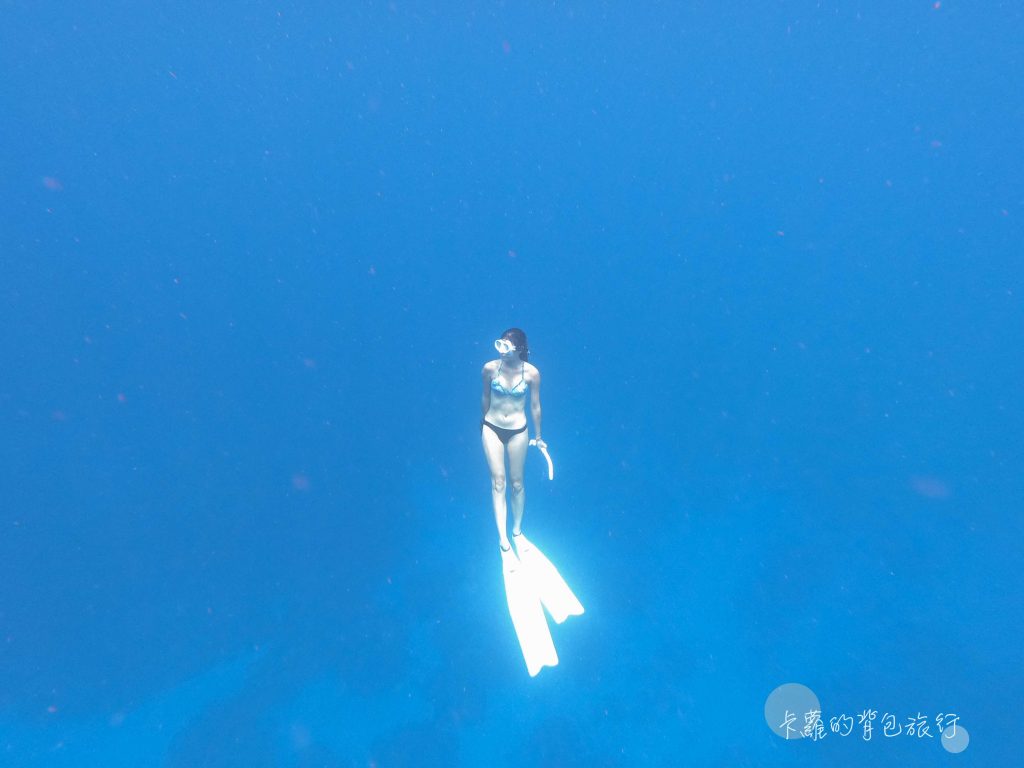 卡蘿的背包旅行-蘭嶼自由潛水-2
