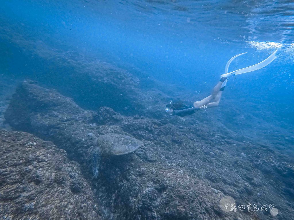 卡蘿的背包旅行-小琉球深度旅遊3種方式-與海龜共遊