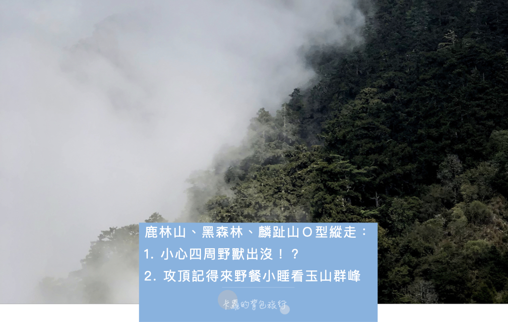 南投鹿林山自然公園｜鹿林山、黑森林、麟趾山， O 型縱走