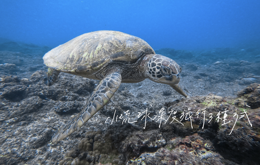 小琉球深度旅行 3 種方式：與海龜共游、跟小琉球人聊天、生態友善旅行方式